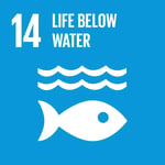 TheGlobalGoals_Icons_Color_Goal_14